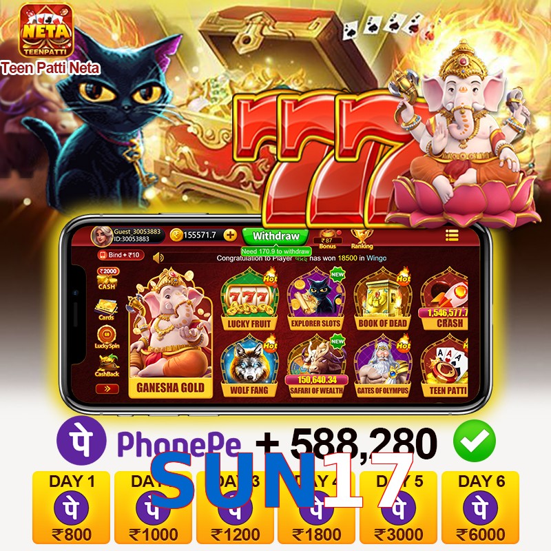 SUN17